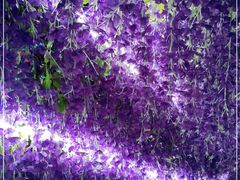 -沕沕水生态风景区