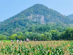 -八卦田遗址公园