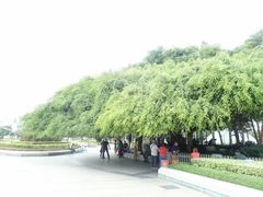 -北部湾广场