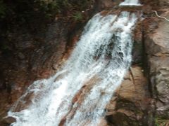 -九龙江国家森林公园