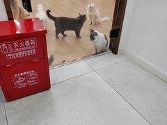 -1013 PET SHOP 宠物商店(近铁城市广场店)