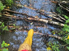 -峡谷浮石林景区