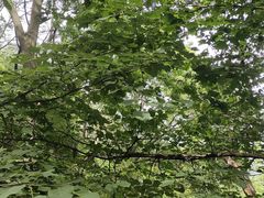 -终南山南五台景区