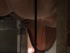 -毛辣果·酸