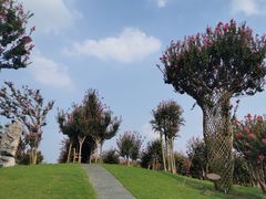 -南通洲际绿博园