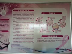 -新疆医科大学第一附属医院