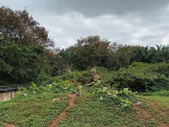 -海南热带野生动植物园