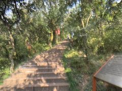 -杭州半山国家森林公园