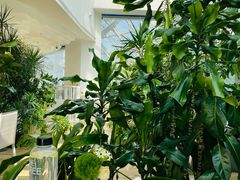 -大树餐厅(红旗街万达店)