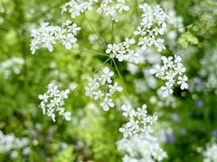 -南山风景名胜区