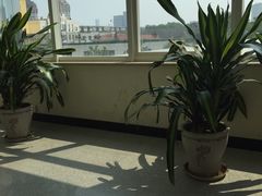 -天津医科大学肿瘤医院(本部院区)