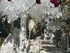 -The Grounds of Alexandria