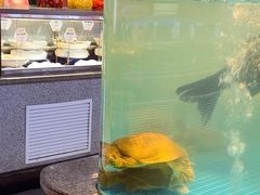 -鸽子侯·家宴·平价海鲜(市图书馆店)