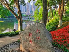 -重庆彩云湖湿地公园