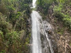 -姑婆山旅游区