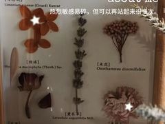 -宫七SPA·高端Massage(浦东大道店)