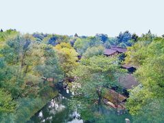 -西溪国家湿地公园