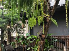 景观位-Fern Forest Cafe