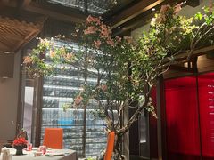 -星·South Beauty·俏江南(国贸店)