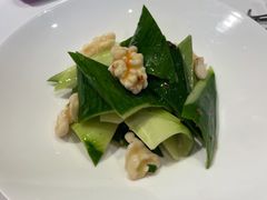 开胃脆瓜-西郊5号·Maggie 5