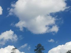 -普达措国家公园