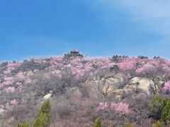 -白水寺森林公园