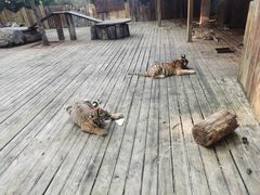 -云南野生动物园