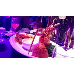 -格乐利雅婚礼艺术中心(南外滩店)