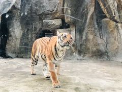 -南昌动物园