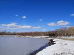 -大兴滨河森林公园