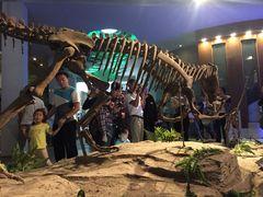 -自贡恐龙博物馆