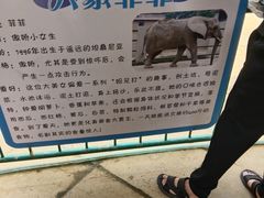 -保定市动物园