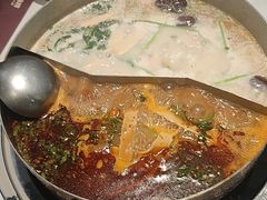 -洪氏嗨捞·广东猪肚鸡·椰子鸡火锅(西咸万象城店)
