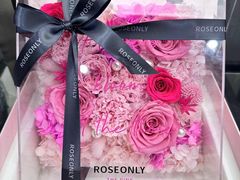 -ROSEONLY诺誓(沈阳万象城店)