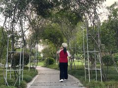 -北极阁公园