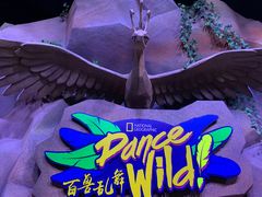 -珠海横琴国家地理探险家中心(创新方)