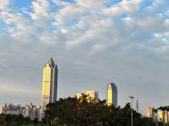-万绿园