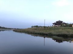 -卤阳湖国家湿地公园