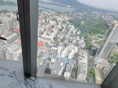 -紫峰大厦