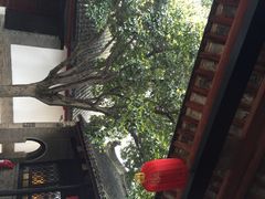 内乡县衙-内乡县衙博物馆