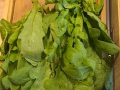 -蝎王府羊蝎子(西直门店)