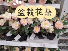 -宜家家居(哈尔滨商场店)