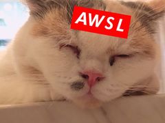 -猫爷宠物生活馆·撸猫馆