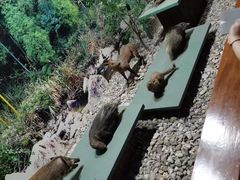 -温州博物馆