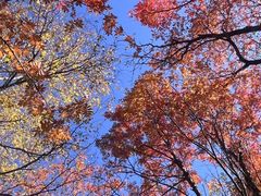 -叠溪松坪沟景区