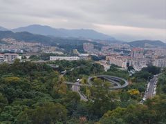 -福道