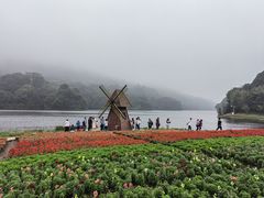 -广州市石门国家森林公园