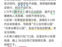 -日照海滨国家森林公园