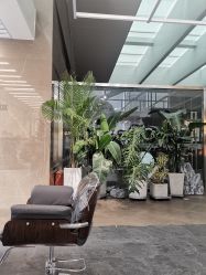 -BOF HAIR BY HONTO
