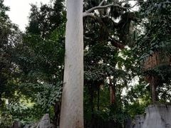 -柳侯公园